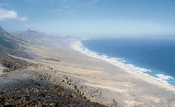 Fuerteventura