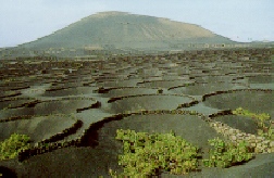 La Geria (Lanzarote)