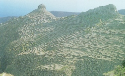 La Gomera